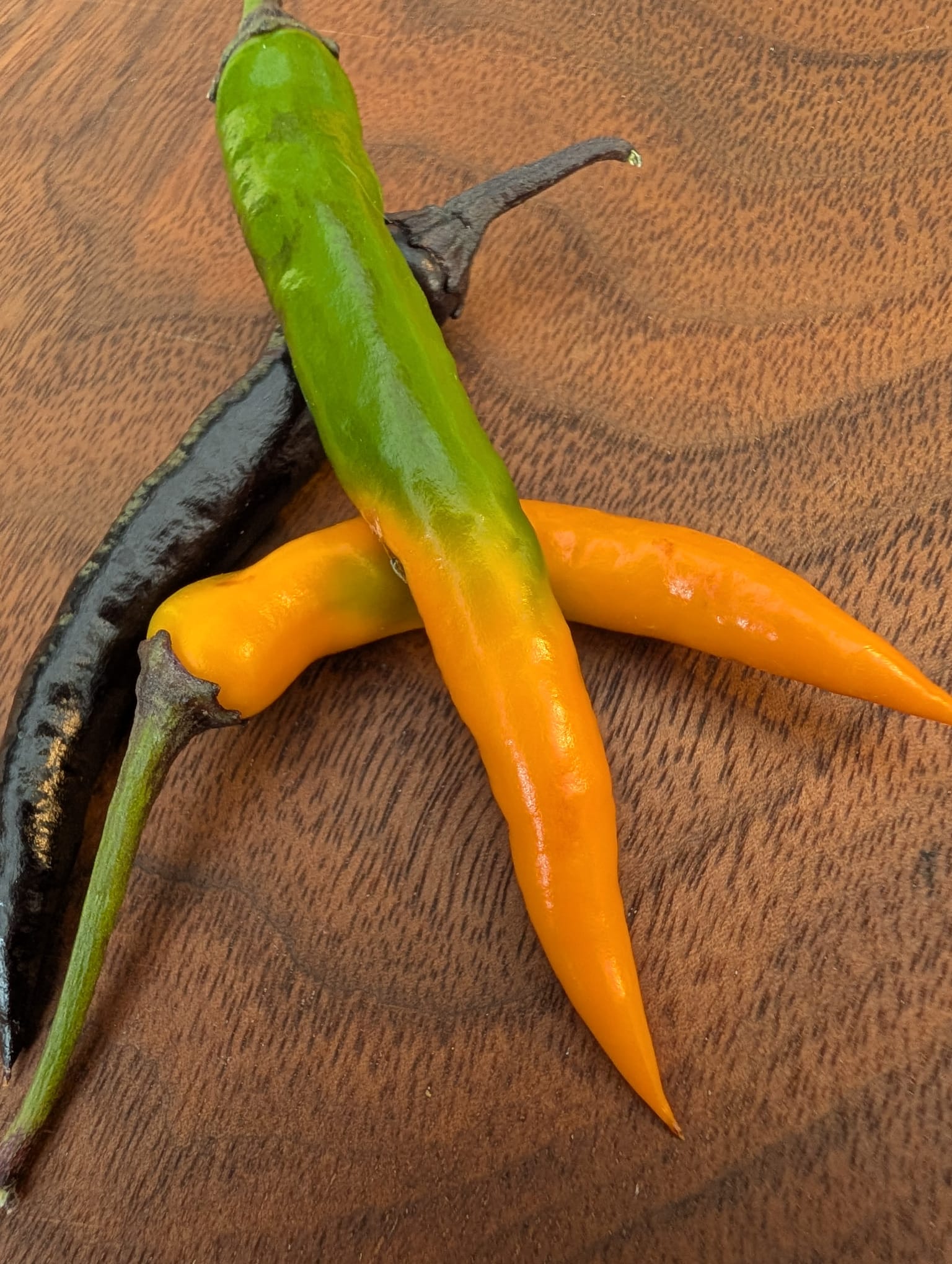 Mixed chilli varieties